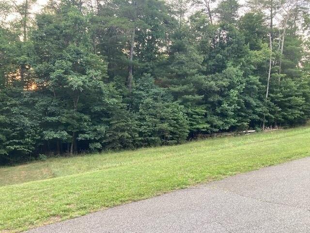 Land for sale in Virginia