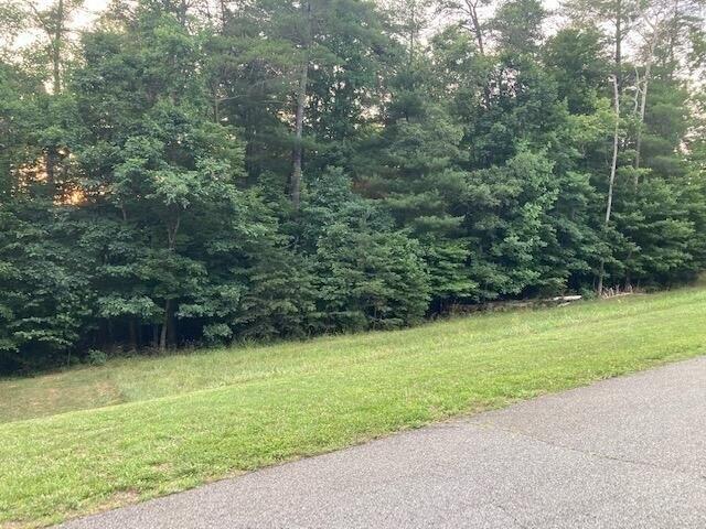 Land for sale in Virginia