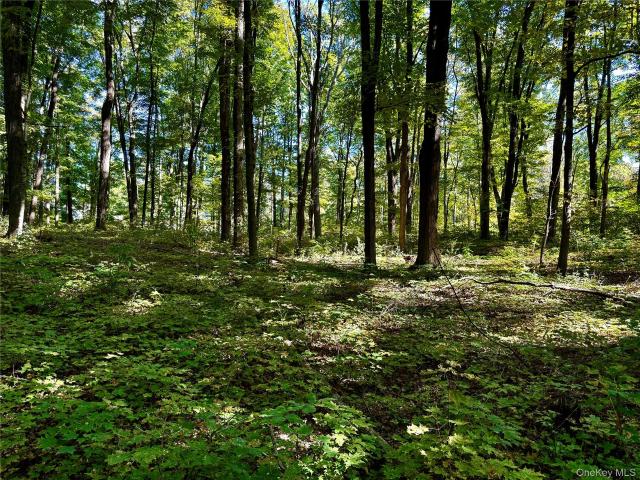 Land for sale in Pleasant Valley, New York