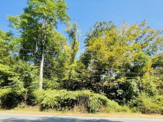 Land for sale in Williamsport