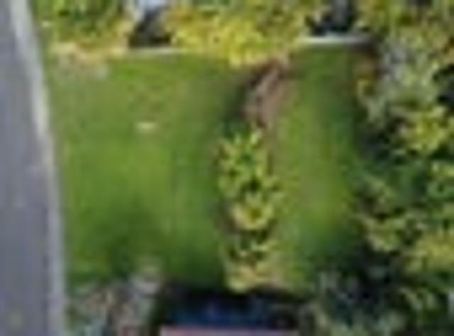 Land for sale in Bay Of Plenty