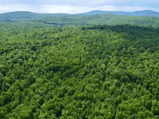 Land for sale in Maine