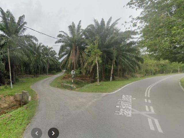 Property for sale in Kelanang, Selangor