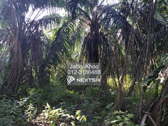Property for sale in Segamat, Johor