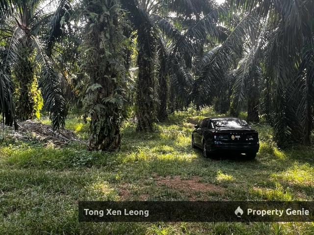 Property for sale in Malaka