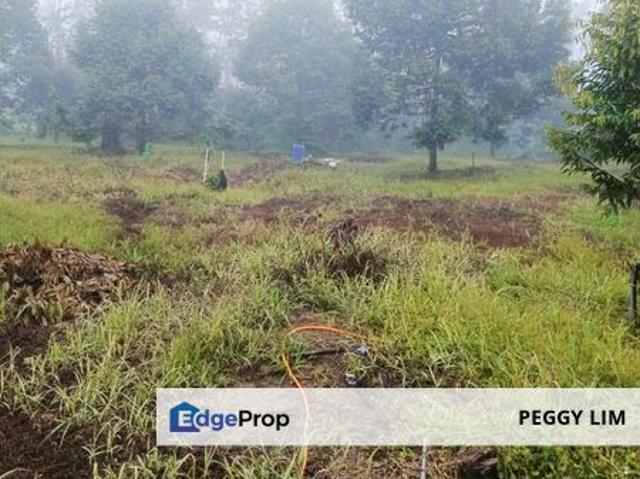 Shop for sale in Kuala Lipis, Pahang