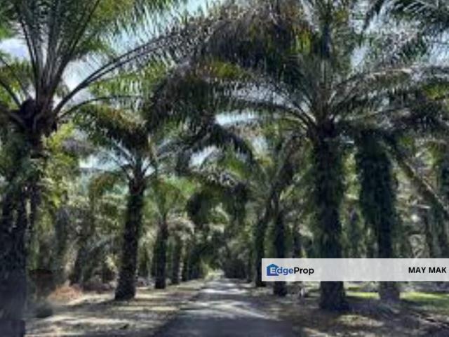 Shop for sale in Malaka