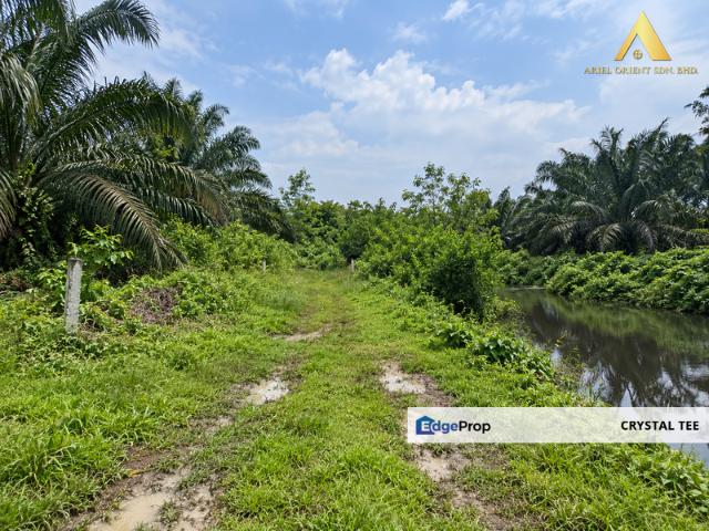 Warehouse for sale in Wellesley, Penang