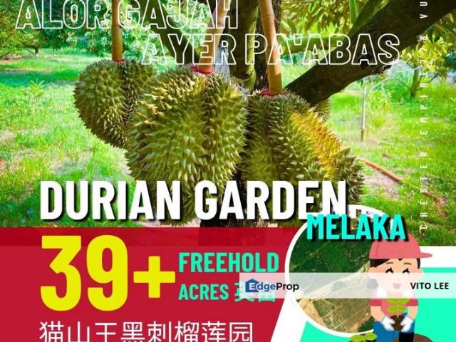 Shop for sale in Malaka