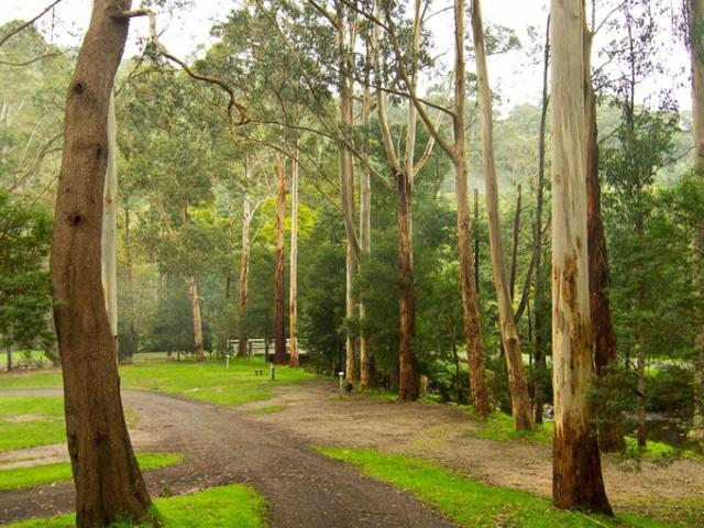 Townhouse for sale in Tarra Valley, Victoria