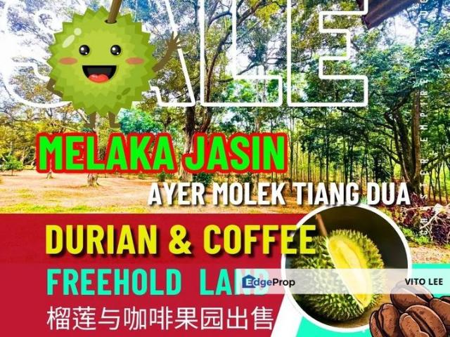 Shop for sale in Malaka