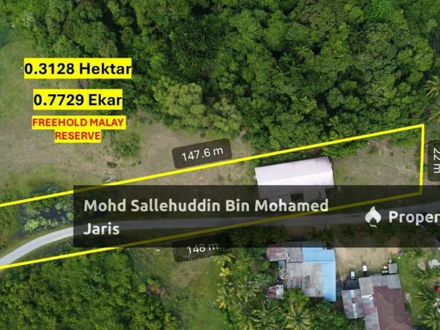 Property for sale in Pekan, Pahang
