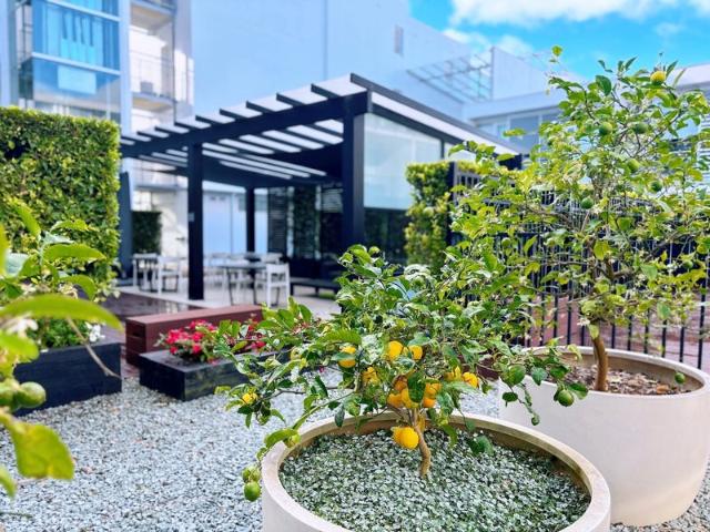 Apartment for rent in Ponsonby, Oroua County