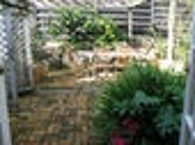House for rent in Auckland, Oroua County