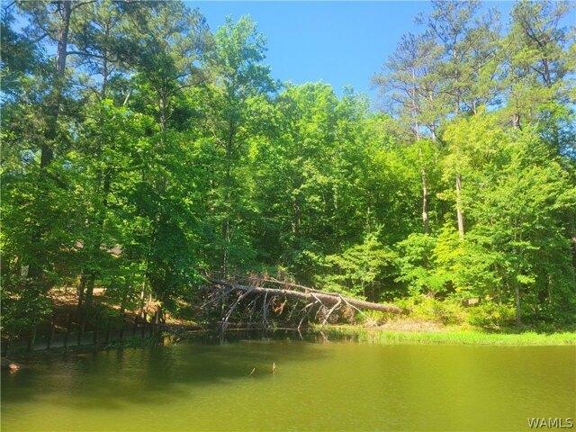 Land for sale in Northport