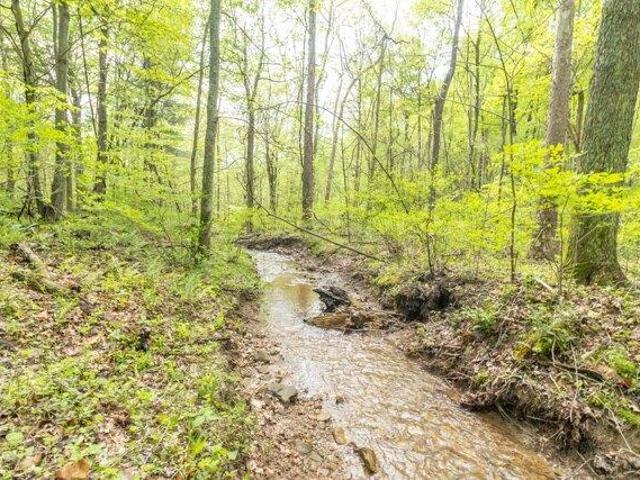 Land for sale in Freetown, Indiana