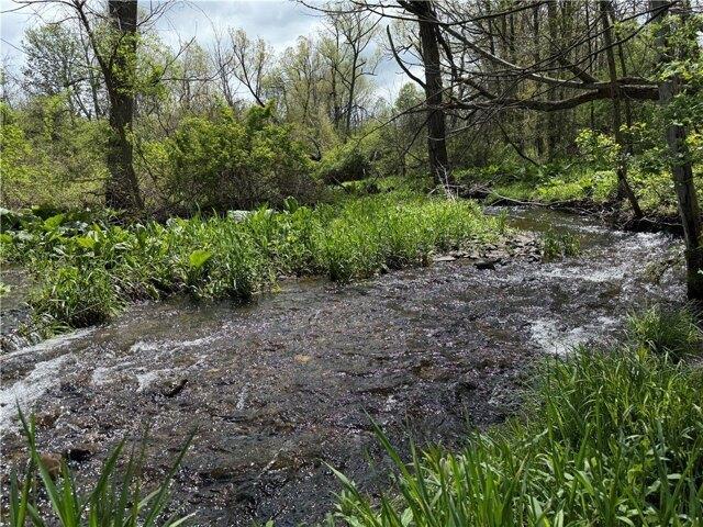 Land for sale in Dryden, New York