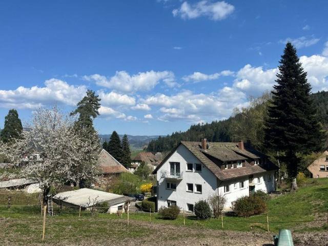 Haus kaufen in Freiburg