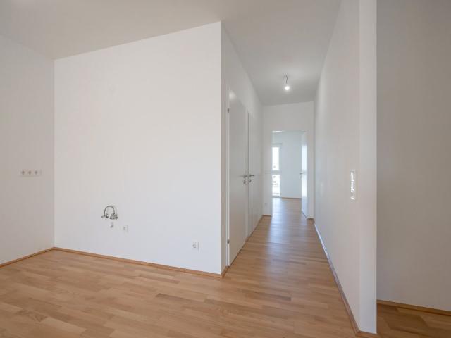 Wohnung kaufen in Seestadt, Wien