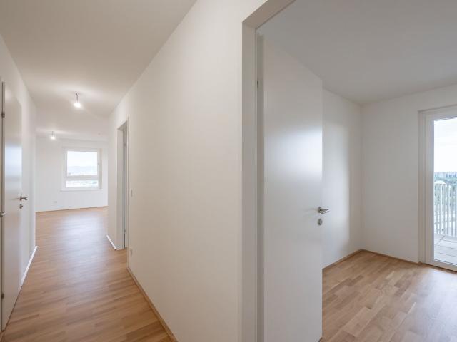Wohnung kaufen in Seestadt, Wien
