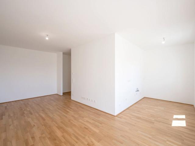 Wohnung kaufen in Seestadt, Wien