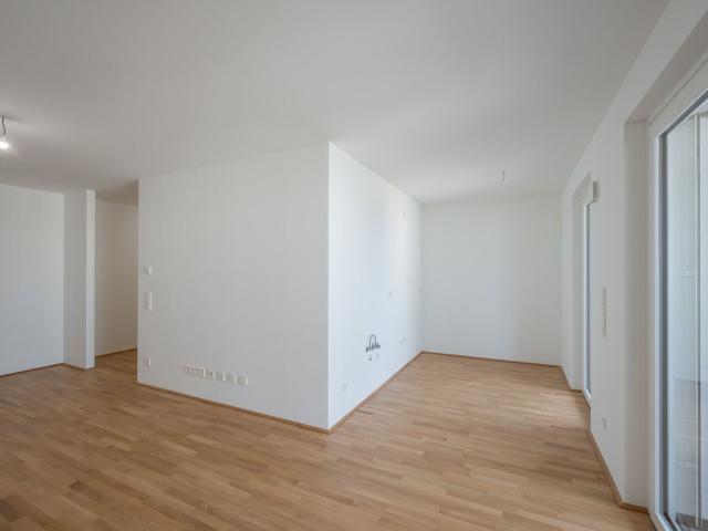 Wohnung kaufen in Seestadt, Wien