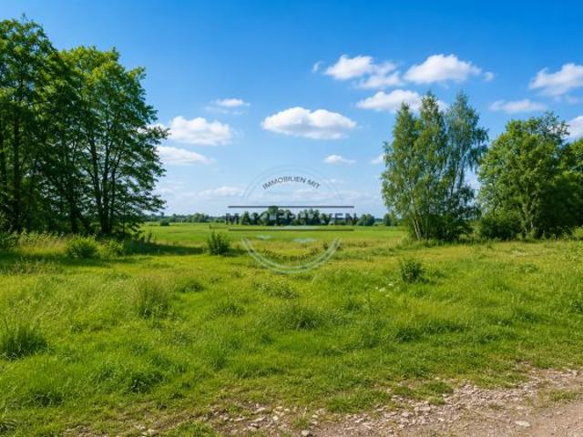 Erdgeschosswohnung kaufen in Stadland, Niedersachsen