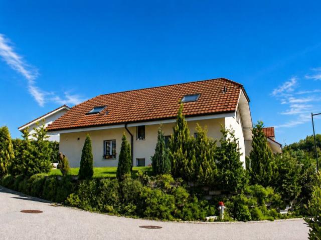 Einfamilienhaus kaufen in Gretzenbach, Solothurn