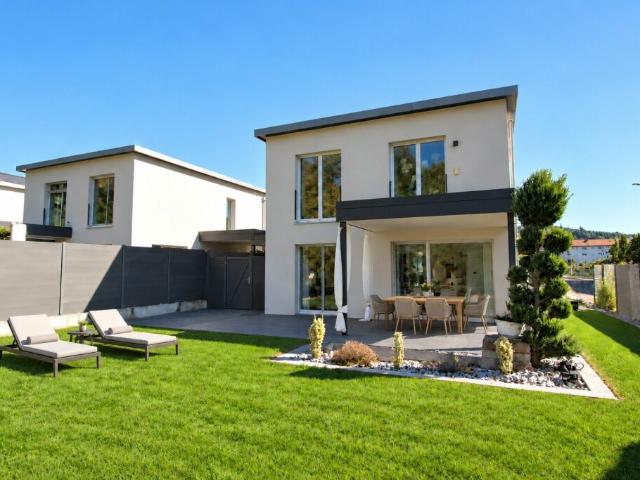 Einfamilienhaus kaufen in Schönenwerd, Amtei Olten-Gösgen