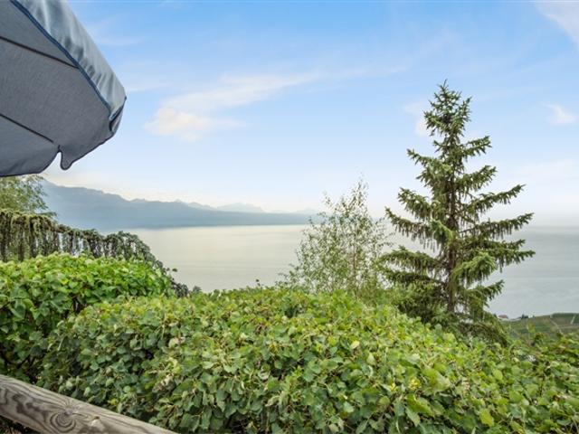 Einfamilienhaus mieten in Bourg-en-Lavaux, Waadt