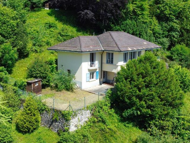 Reihenfamilienhaus kaufen in Chailly-Montreux, Waadt