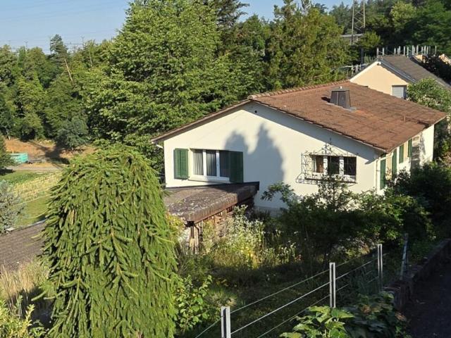 Einfamilienhaus kaufen in Othmarsingen, Aargau