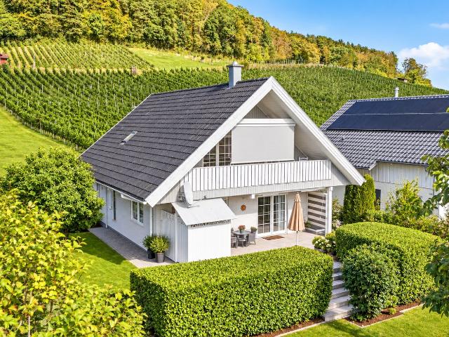 Haus kaufen in Schlattingen, Basadingen-Schlattingen