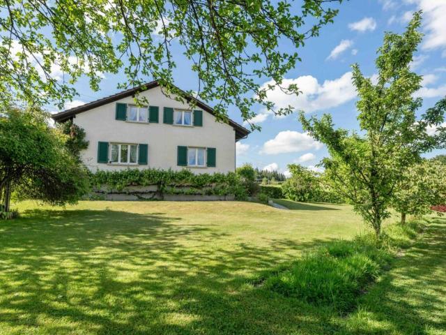 Einfamilienhaus kaufen in Othmarsingen, Aargau