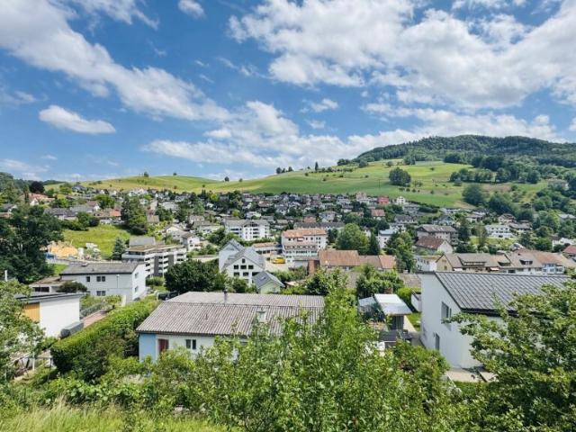 Einfamilienhaus kaufen in Niederdorf, Basel-Landschaft