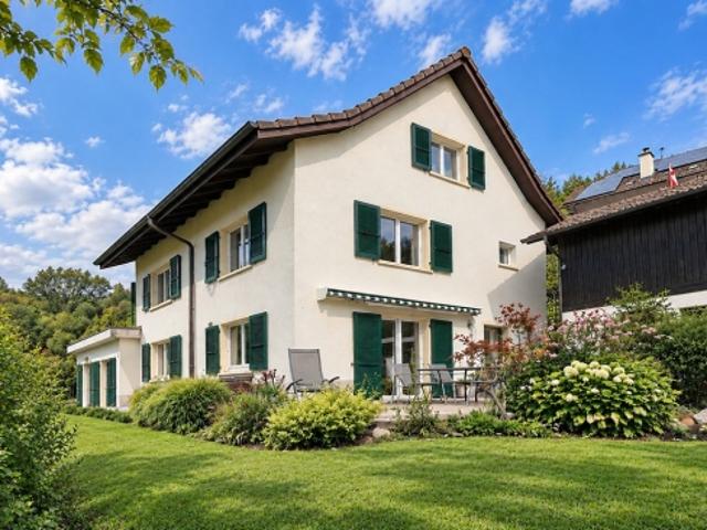 Einfamilienhaus kaufen in Dittingen, Basel-Landschaft
