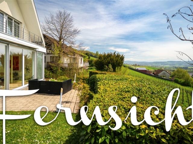 Einfamilienhaus kaufen in Neunforn, Thurgau