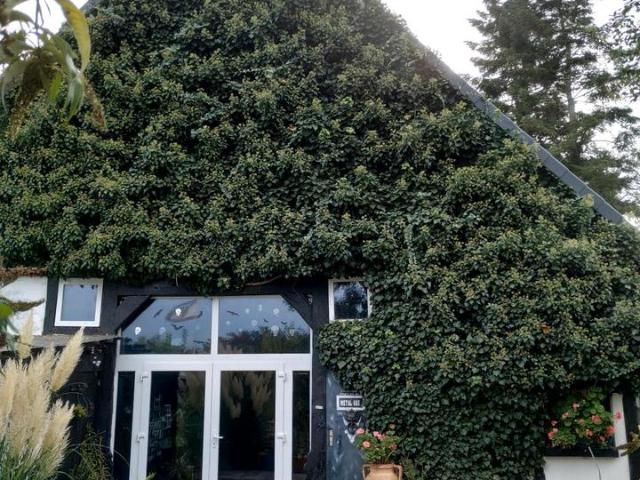 Haus kaufen in Preussisch Oldendorf, Preußisch Oldendorf