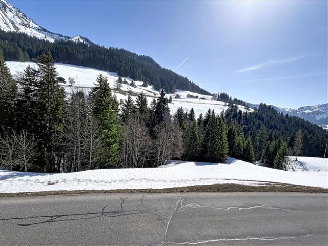 Haus kaufen in Ormont-Dessous, Waadt