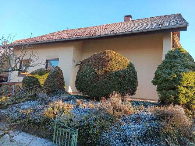 Haus kaufen in Sinsheim