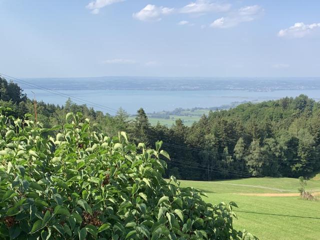 Einfamilienhaus kaufen in Walzenhausen, Appenzell Ausserrhoden
