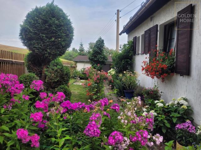 Villa kaufen in Altstadt, Greiz