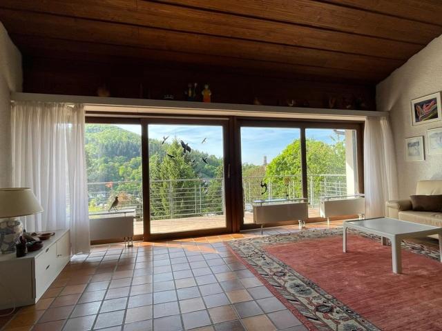 Villa kaufen in Schriesheim, Baden-Württemberg