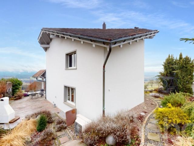 Einfamilienhaus kaufen in Bellikon