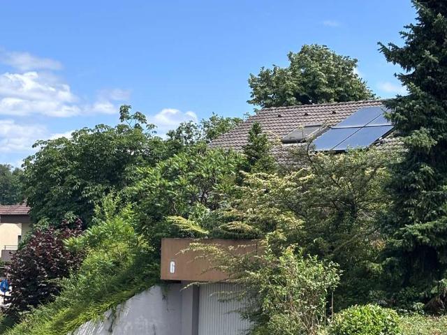 Haus kaufen in Rümmingen, Landkreis Lörrach
