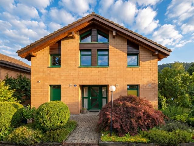 Einfamilienhaus kaufen in Lü