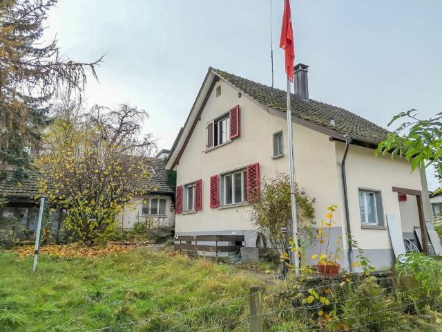 Einfamilienhaus kaufen in Eschenz, Thurgau