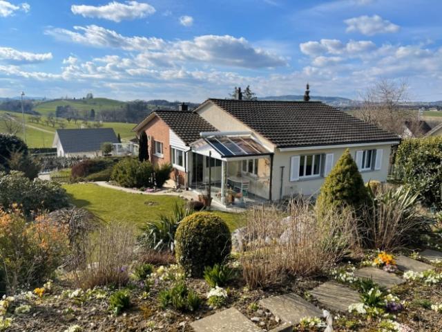 Einfamilienhaus kaufen in Erlen, Thurgau