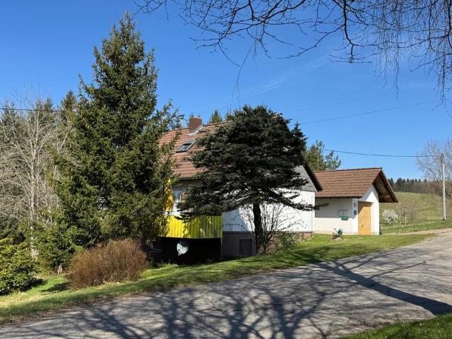 Haus kaufen in Glashütten, Rickenbach