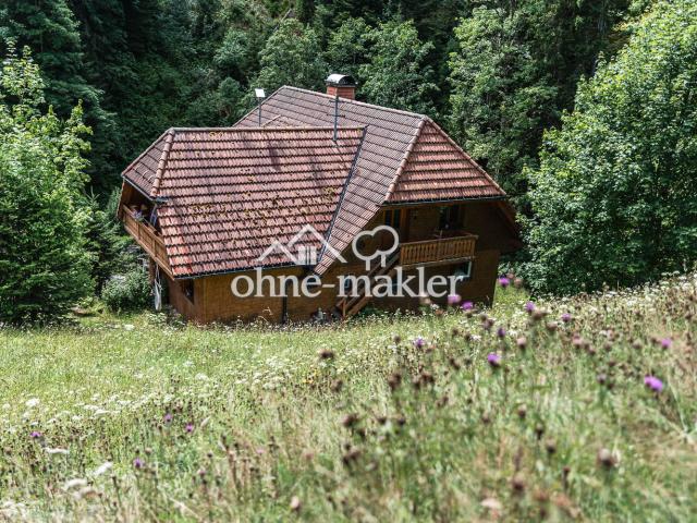 Haus kaufen in Breitnau, Baden-Württemberg